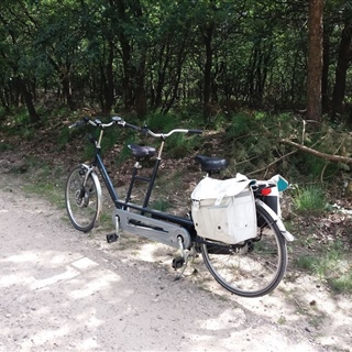 Elektrisch Tandem